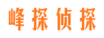 汝南市婚外情调查